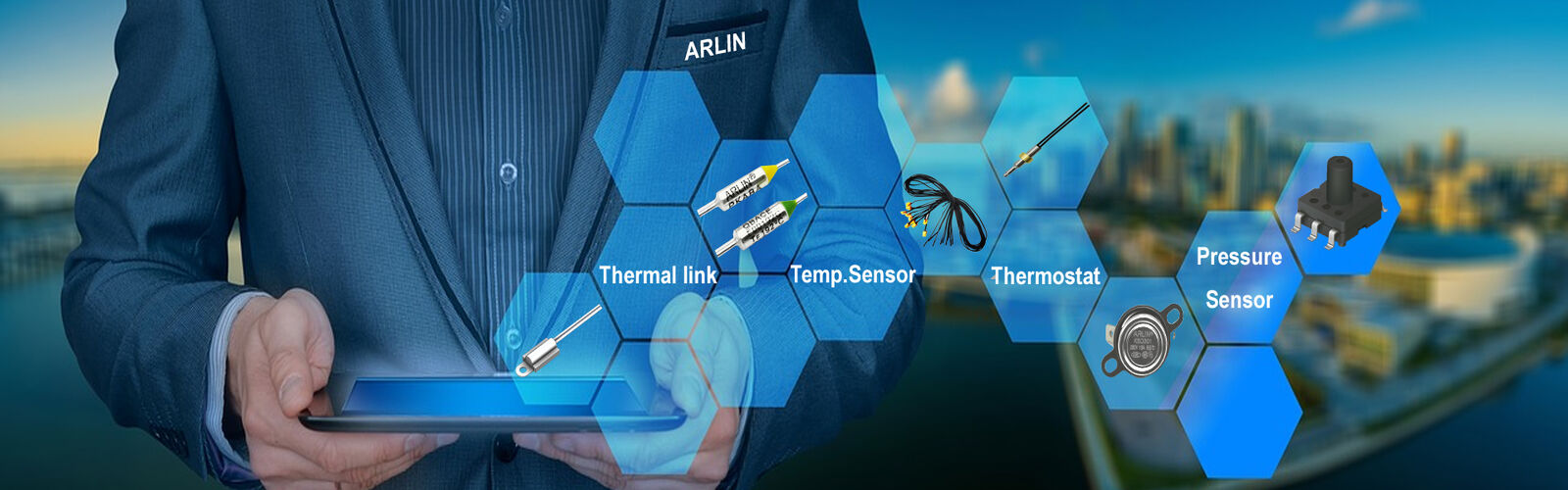 ARF Temperature Fuse